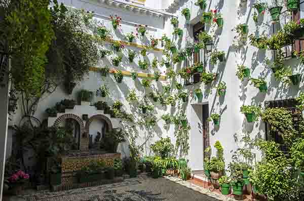 Córdoba 192 - barrio san Basilio - Patios del Alcazar Viejo - calle San Basilio 22.jpg